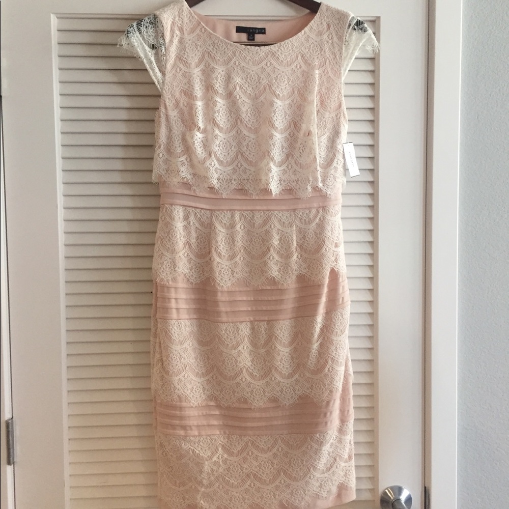 Sangria Lace Cap Sleeve Dress from David’s Bridal